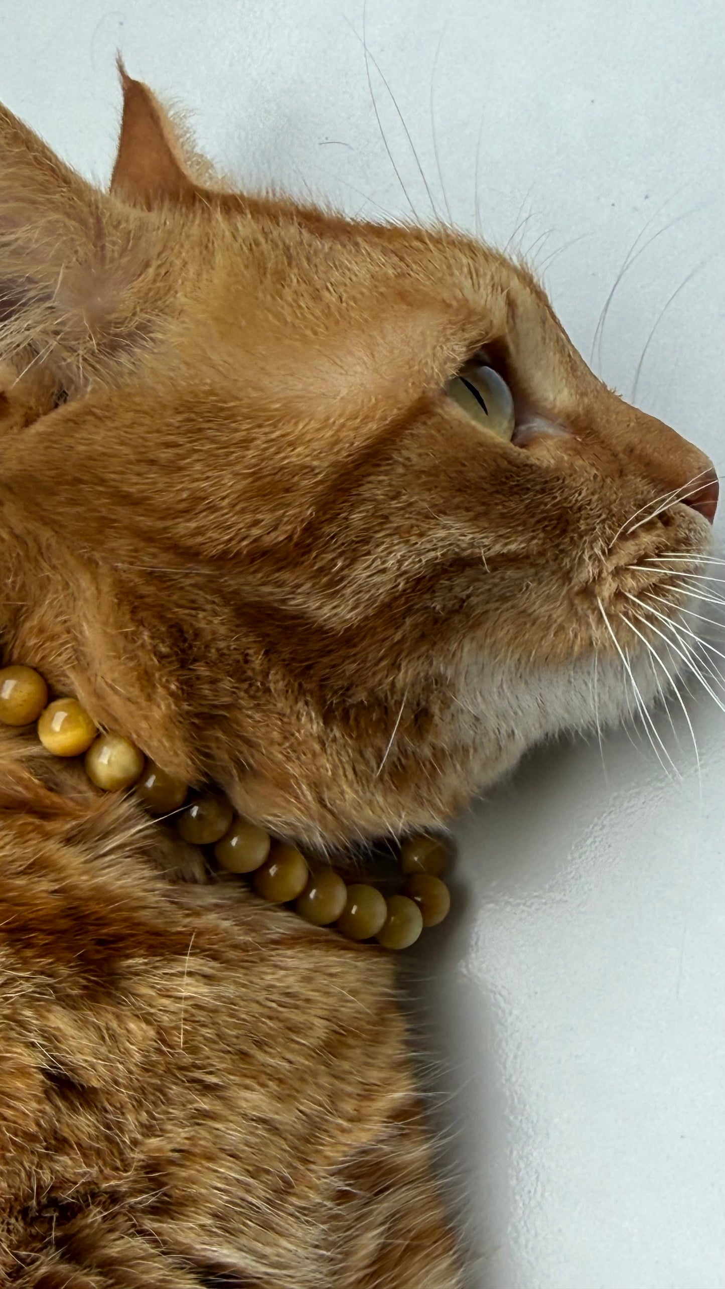 Perle Occhio della Tigre dorato