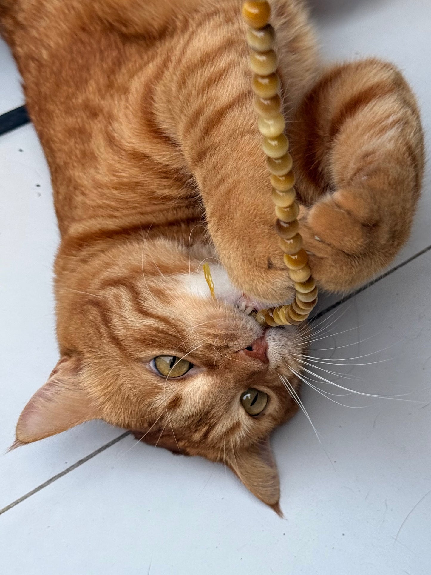 Perle Occhio della Tigre dorato