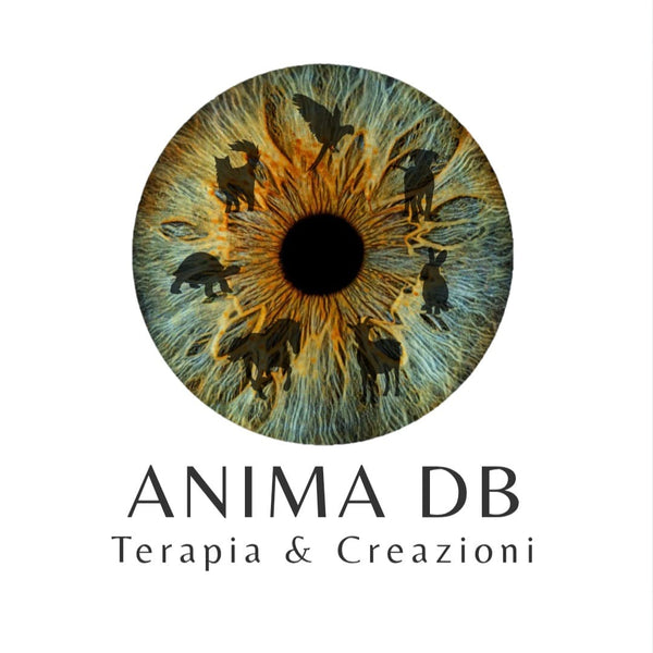 Anima db - Terapia & Creazioni 
